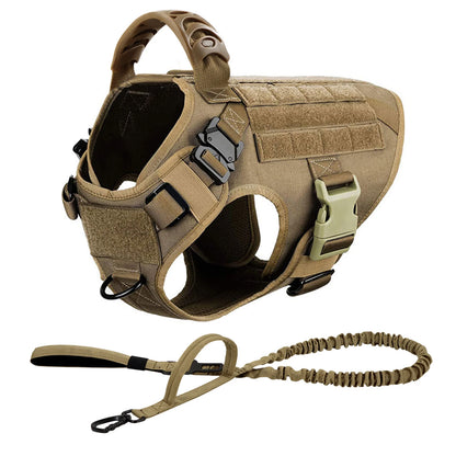 Dog Harness Leash Set for Large Dogs
