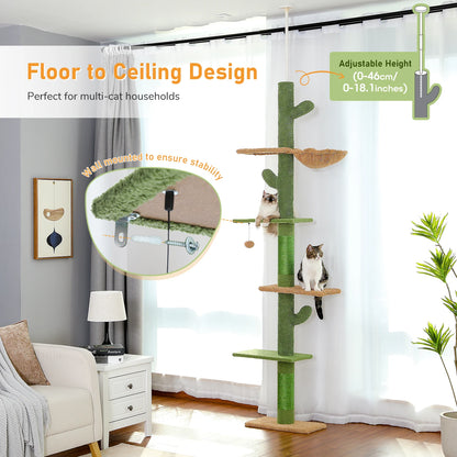 Cat Tower Cactus Tall Climbing Tree