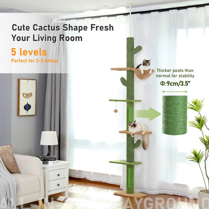 Cat Tower Cactus Tall Climbing Tree