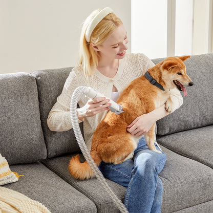 Pet Grooming and Cordless Low Noise