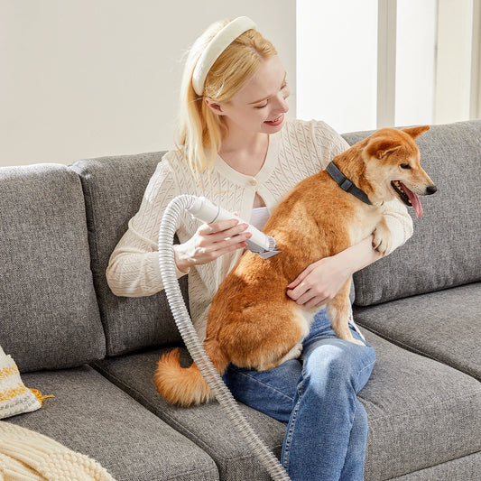 Pet Grooming and Cordless Low Noise