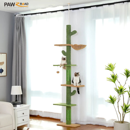 Cat Tower Cactus Tall Climbing Tree