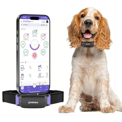 AI Health Collar for Dogs with 24/7 Monitoring