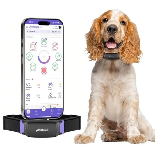 AI Health Collar for Dogs with 24/7 Monitoring