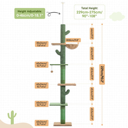 Cat Tower Cactus Tall Climbing Tree
