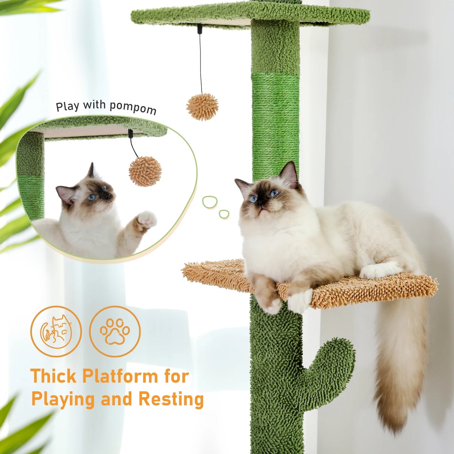 Cat Tower Cactus Tall Climbing Tree