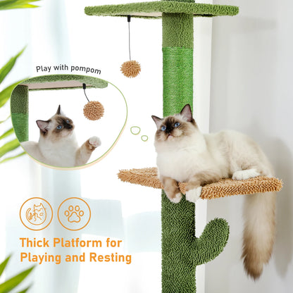 Cat Tower Cactus Tall Climbing Tree