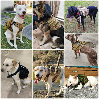 Dog Tactical Harness for Training