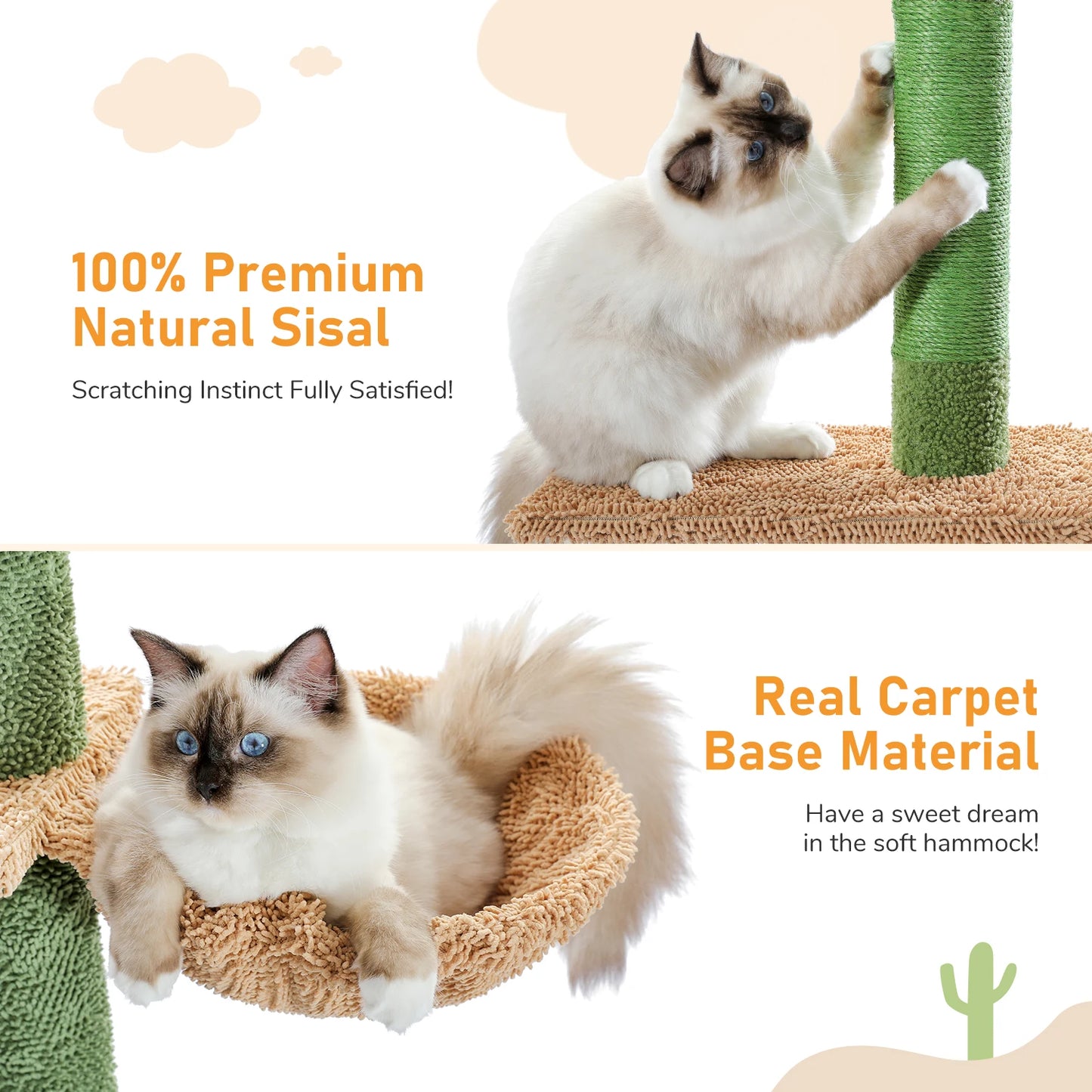Cat Tower Cactus Tall Climbing Tree