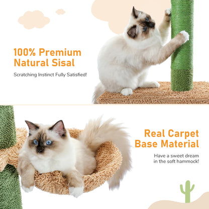 Cat Tower Cactus Tall Climbing Tree
