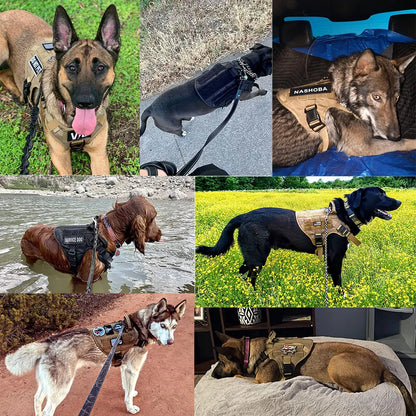 Dog Harness Leash Set for Large Dogs