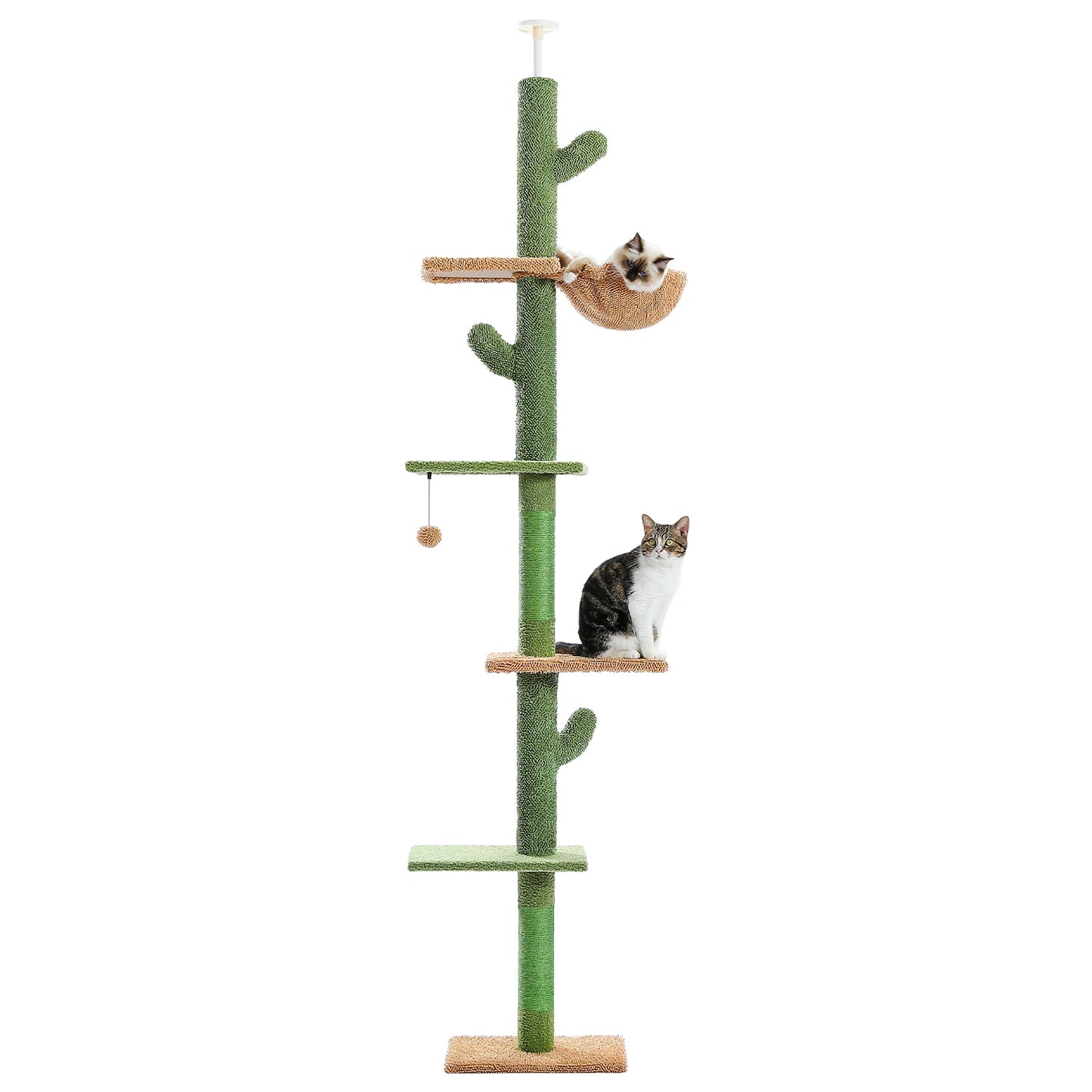 Cat Tower Cactus Tall Climbing Tree