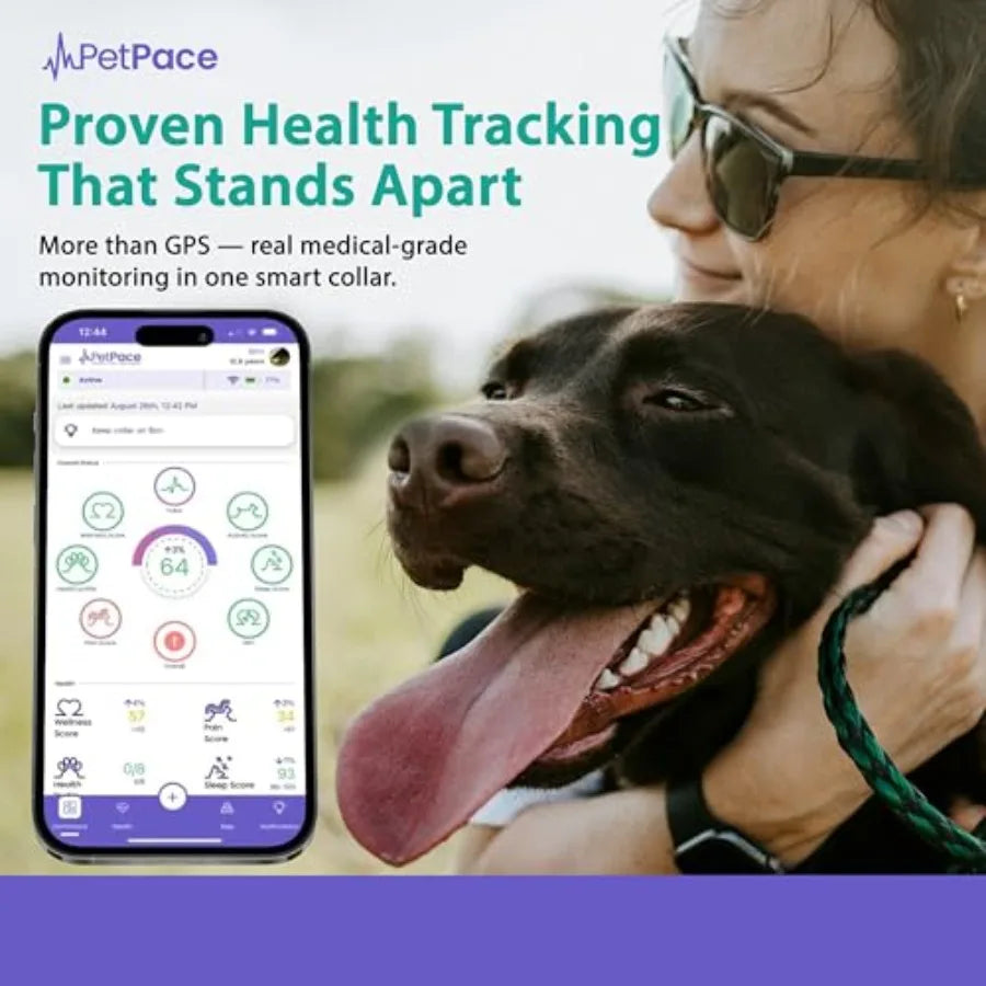 AI Health Collar for Dogs with 24/7 Monitoring